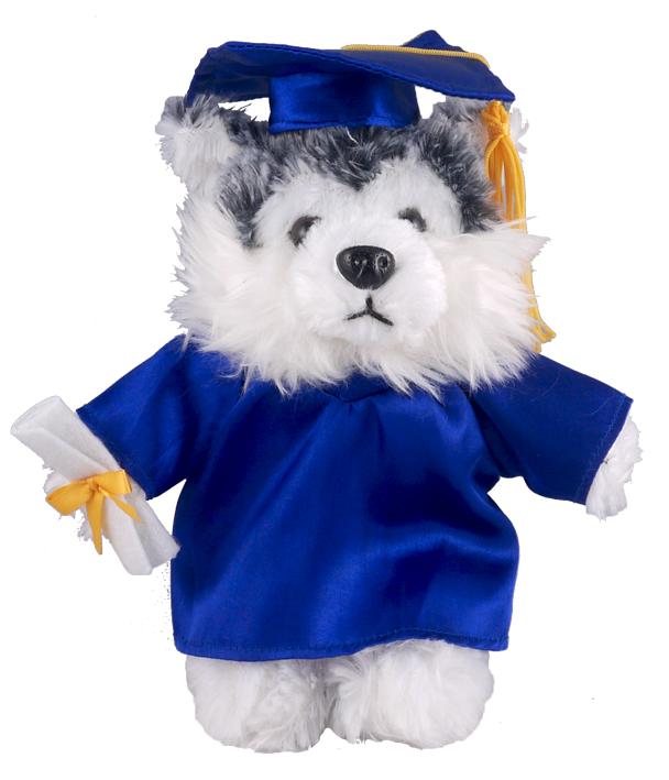 12" Husky Dog in PERSONALIZED Graduation Outfit Plush Toys Stuffed Animals eBay