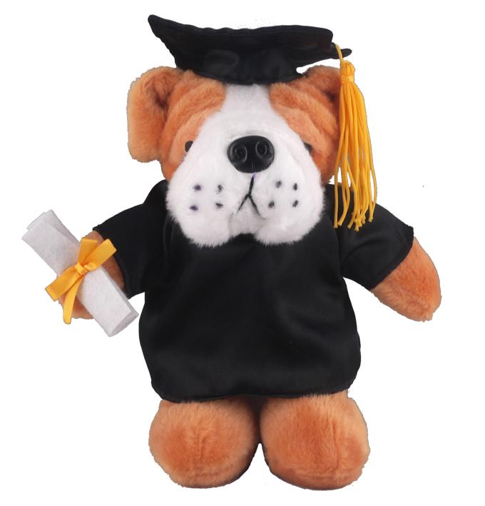 graduation plush