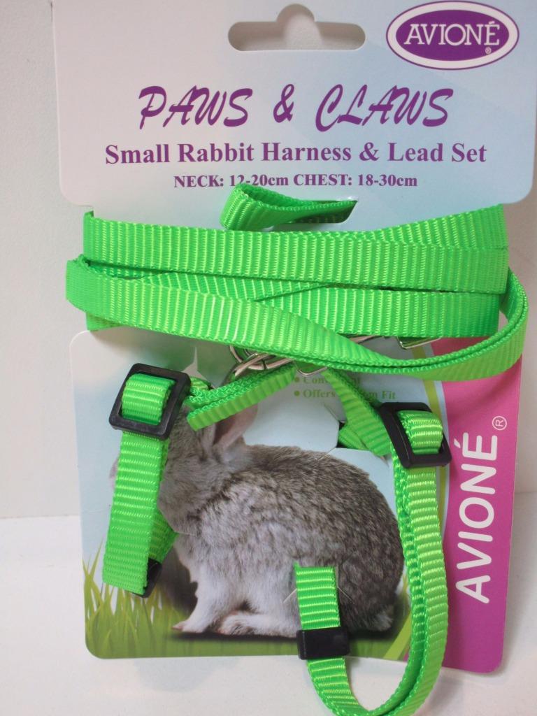 Small rabbit adjustable nylon walking harness & lead set with bell 18