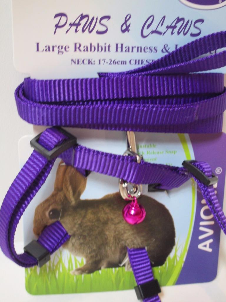 Large rabbit adjustable nylon walking harness & lead set with bell 20