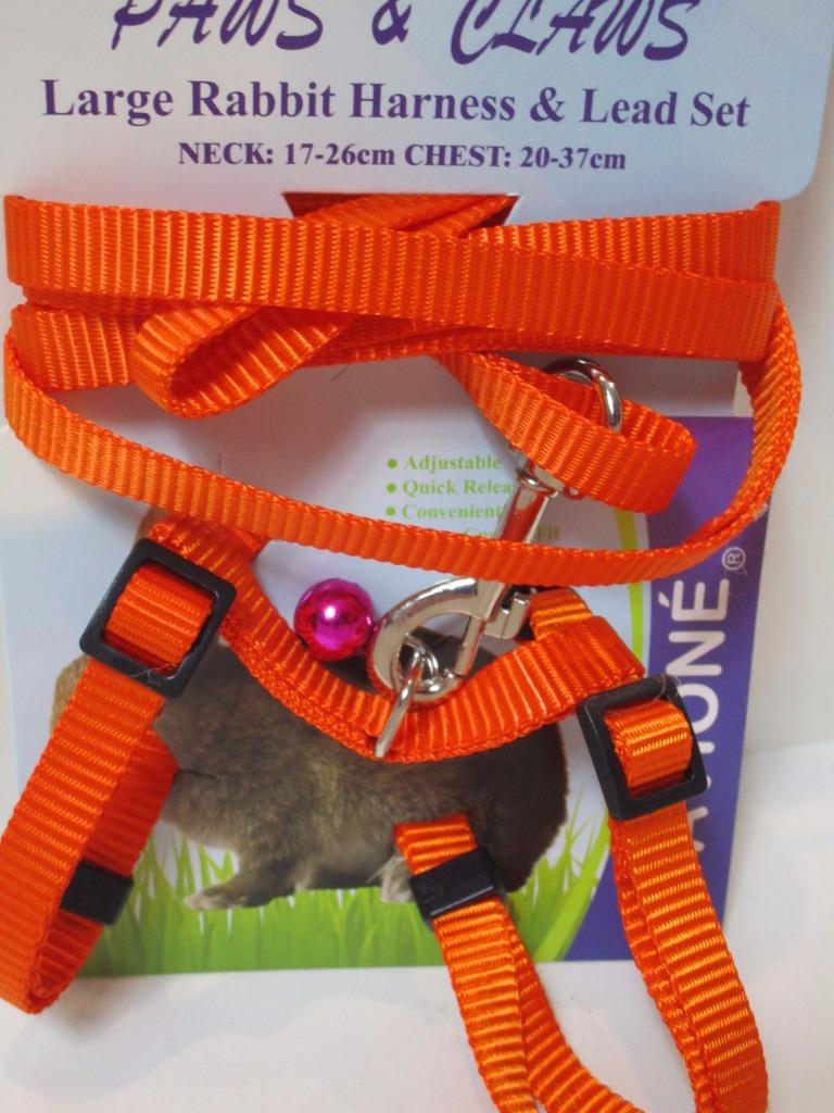Large rabbit adjustable nylon walking harness & lead set with bell 20