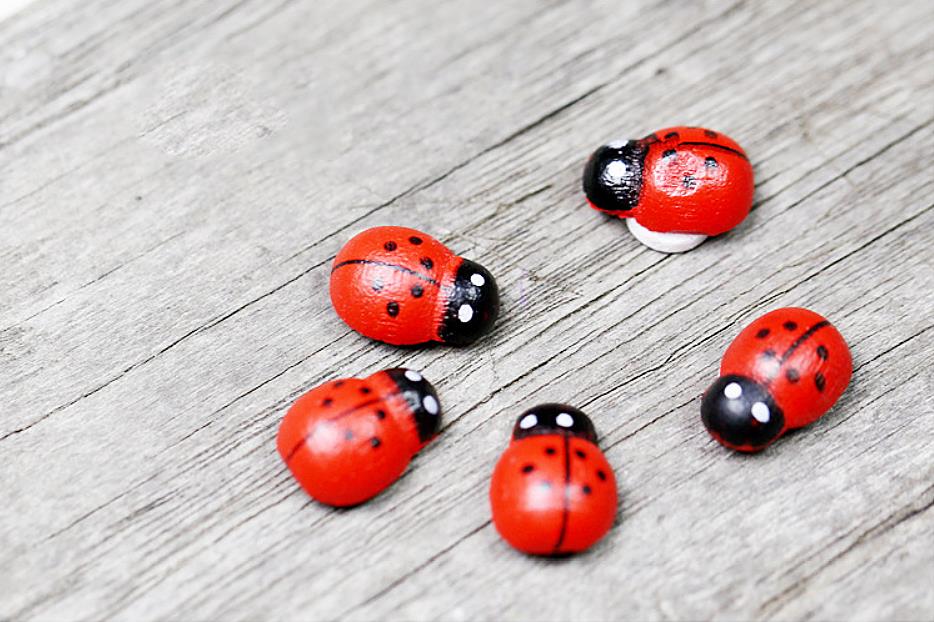 100 Mini Wooden Ladybird Ladybug Sticker Adhesive Fridge Party