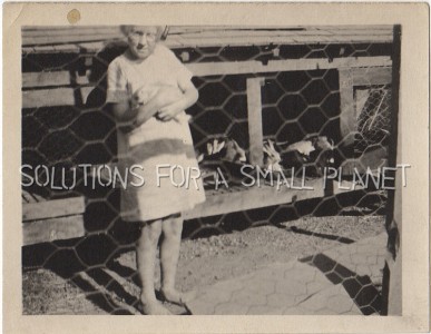 Vintage Photo Senior Lady Holds Bunny By Rabbit Hutches