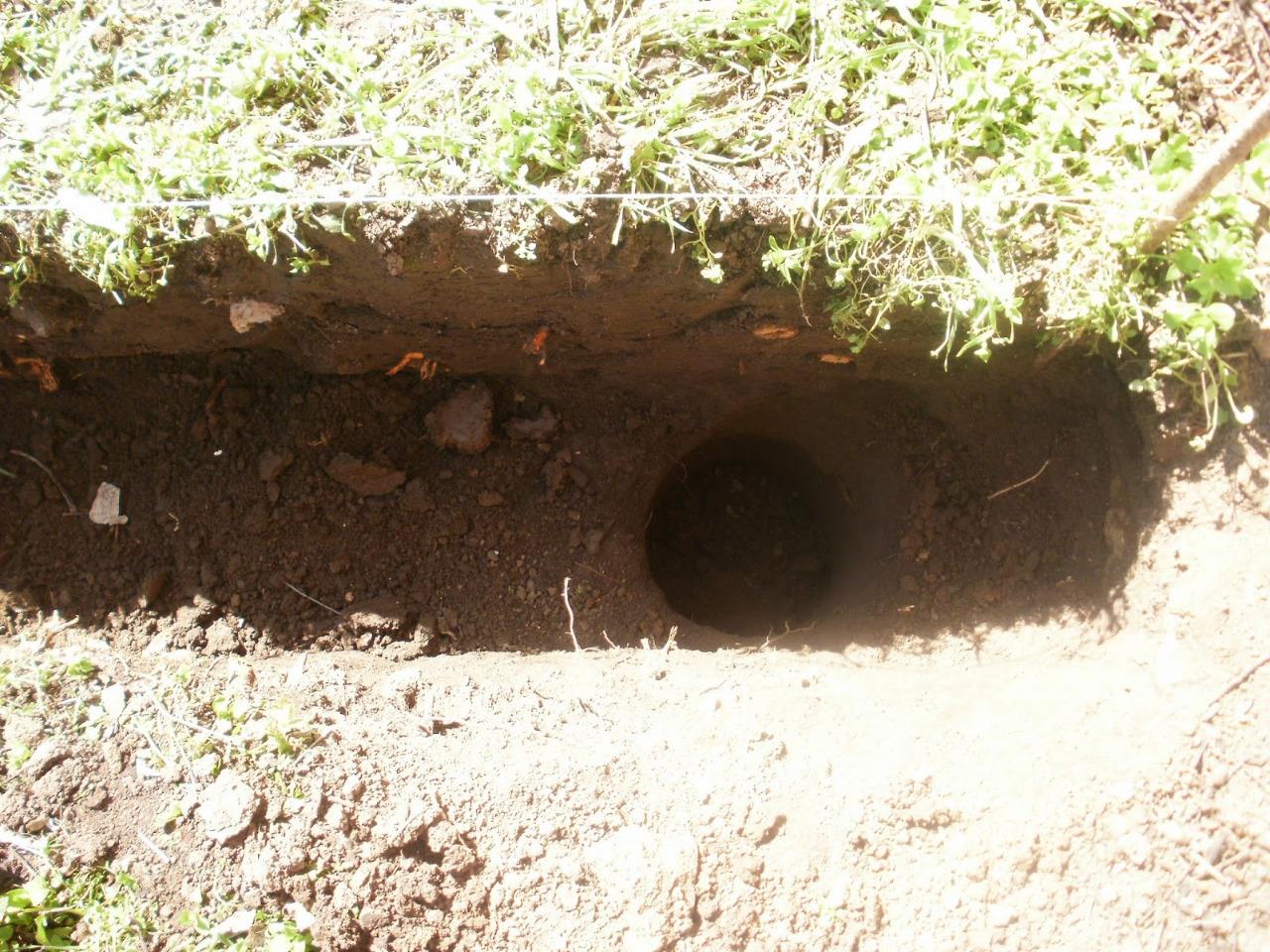 Does Costco Sell Garden Soil / 22 Gardening Hacks That'll Change the Way You Garden / Well