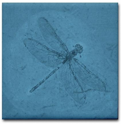 Blue Ceramic Tile