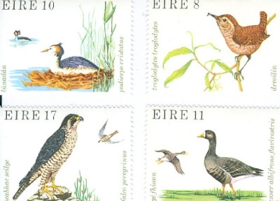 Irish Wild Birds