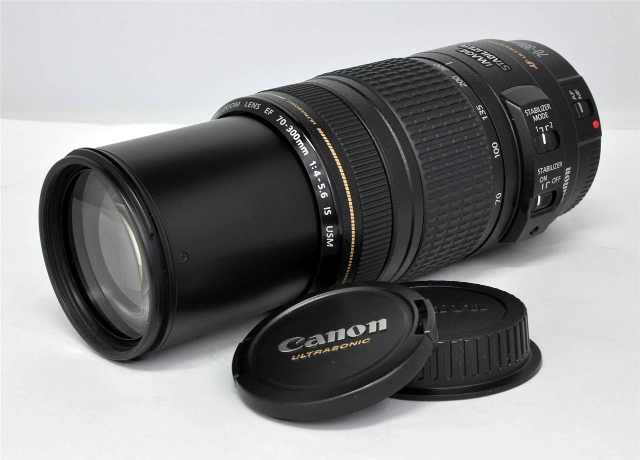 Canon EF 70300mm IS USM Zoom Lens for EOS Rebel T4i T3 T3i T2i T1i 60D