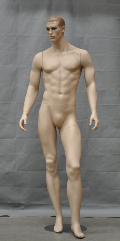 Fashion Mannequins  Sale on New Quality Male Mannequin Dress Form Muscular  Ma 11s   Ebay