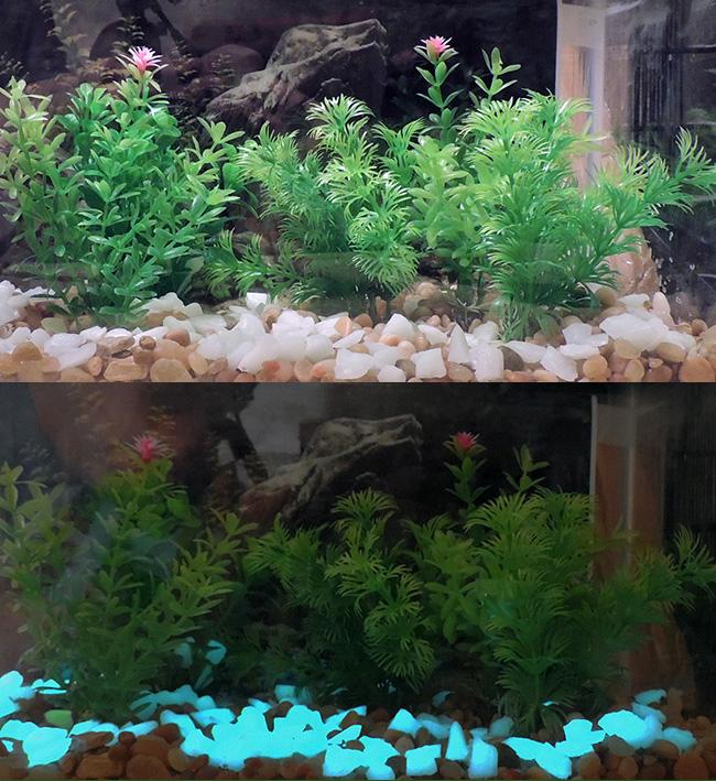 Aqua GlowintheDark Fish Tank Rubble 4oz Glowing Aquarium Gravel