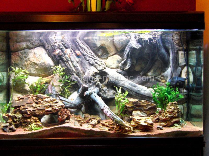 aquarium backgrounds 3d lookup beforebuying fish tank backgrounds