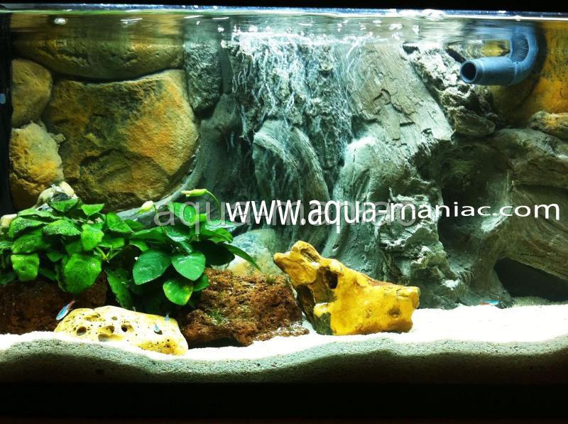 Aquarium 3d backgrounds on Shoppinder