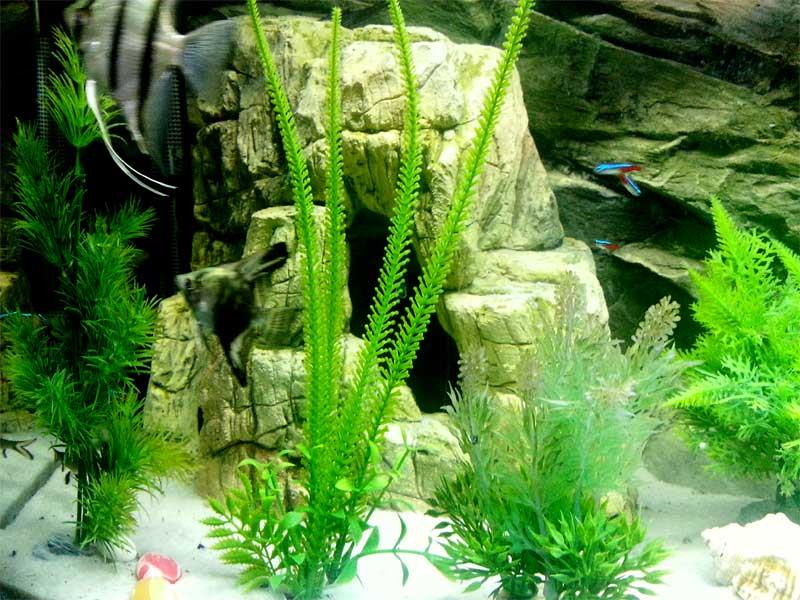 AQUARIUM LARGE CAVE XL ORNAMENT DECORATION FROM POLYRESIN FOR FISH TANK