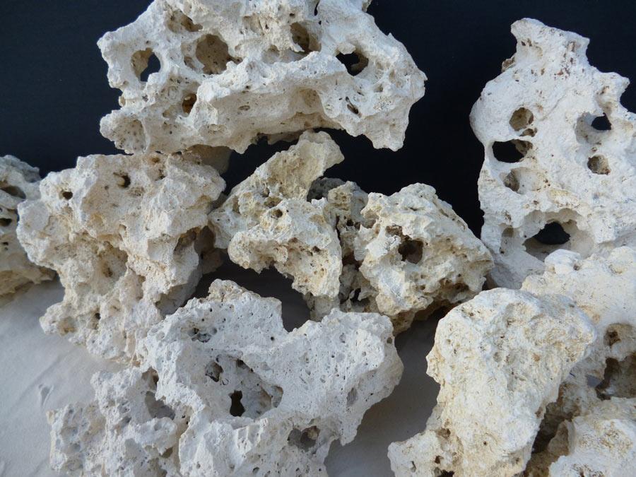 AQUARIUM OCEAN WHITE ROCK LIMESTONE STONES WITH HOLES IWAGUMI MALAWI