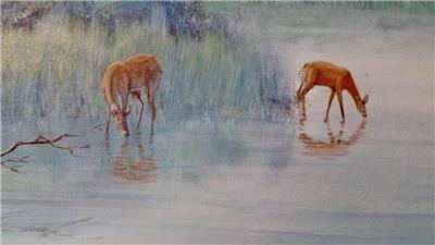 Oil Canvas Painting Florida Everglades Marsh Landscape