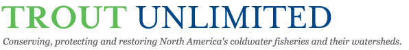 eBay Image Hosting at www.auctiva.com