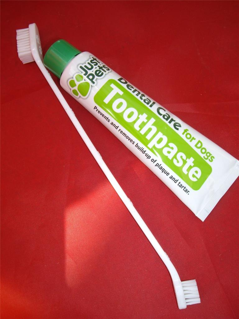 CHOICE OF DOG MINT TOOTHPASTE OR EXTRA LONG TOOTHBRUSH SET DENTAL CARE