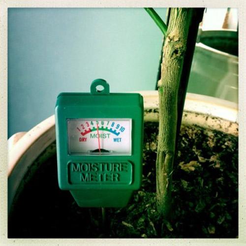 New Indoor/Outdoor Moisture Sensor Meter, Soil Water