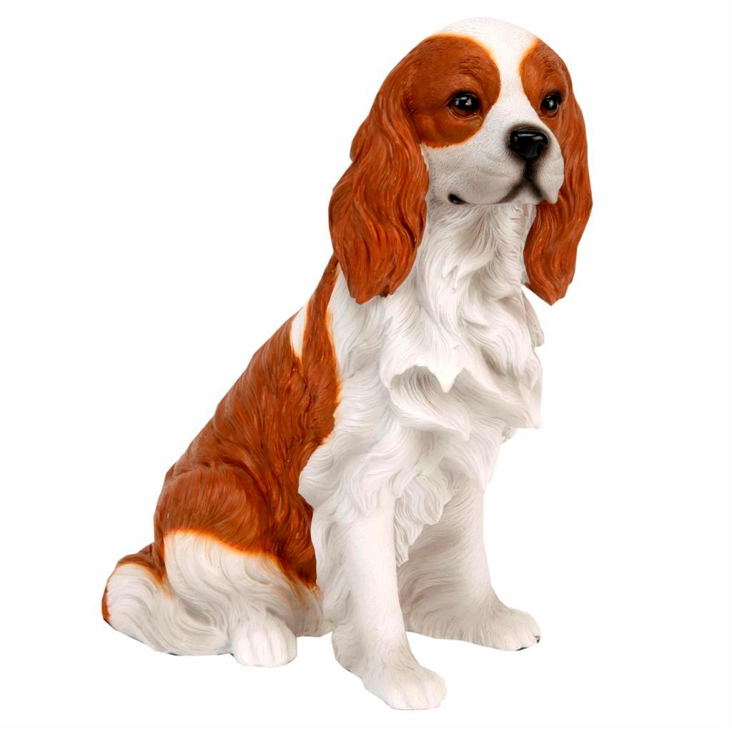 mid size dogs best of breed mid size dogs chihuahua labrador spaniel staffie boxer pug setter ebay mid size dogs best of breed mid size dogs chihuahua labrador spaniel staffie boxer pug setter ebay