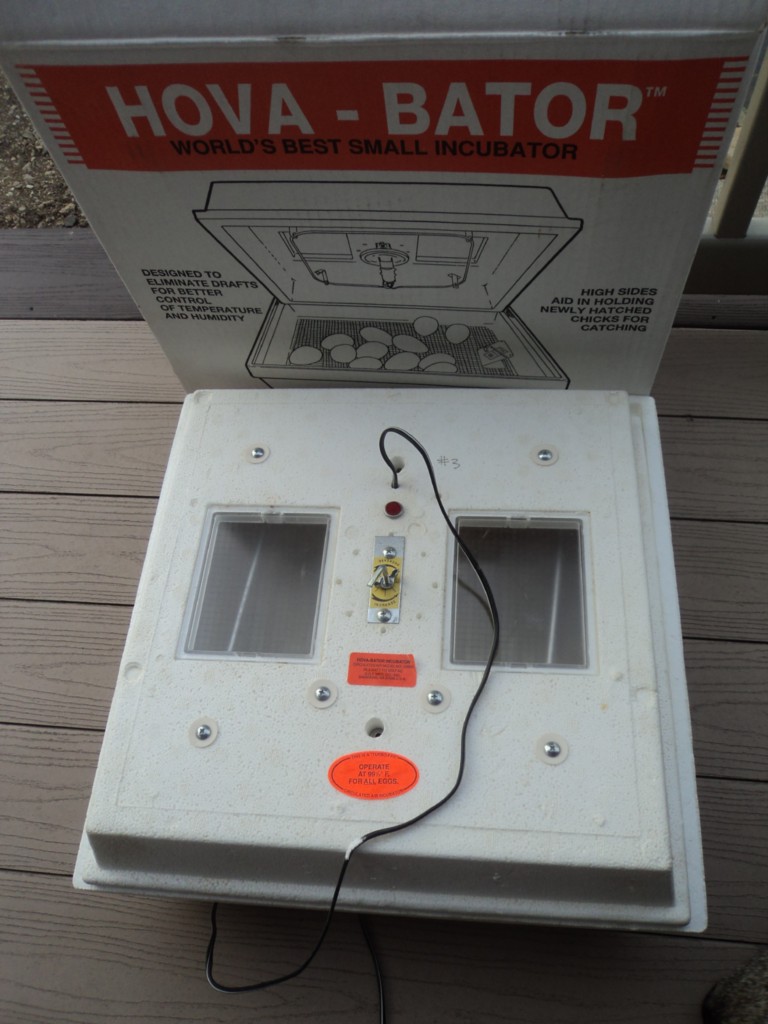 HOVA BATOR GQF CIRCULATED AIR INCUBATOR MODEL 2362N USED IN ORIG BOX eBay