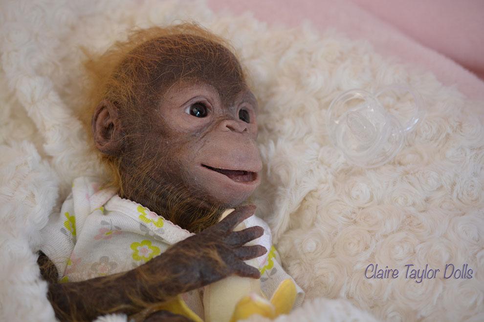 silicone monkeys