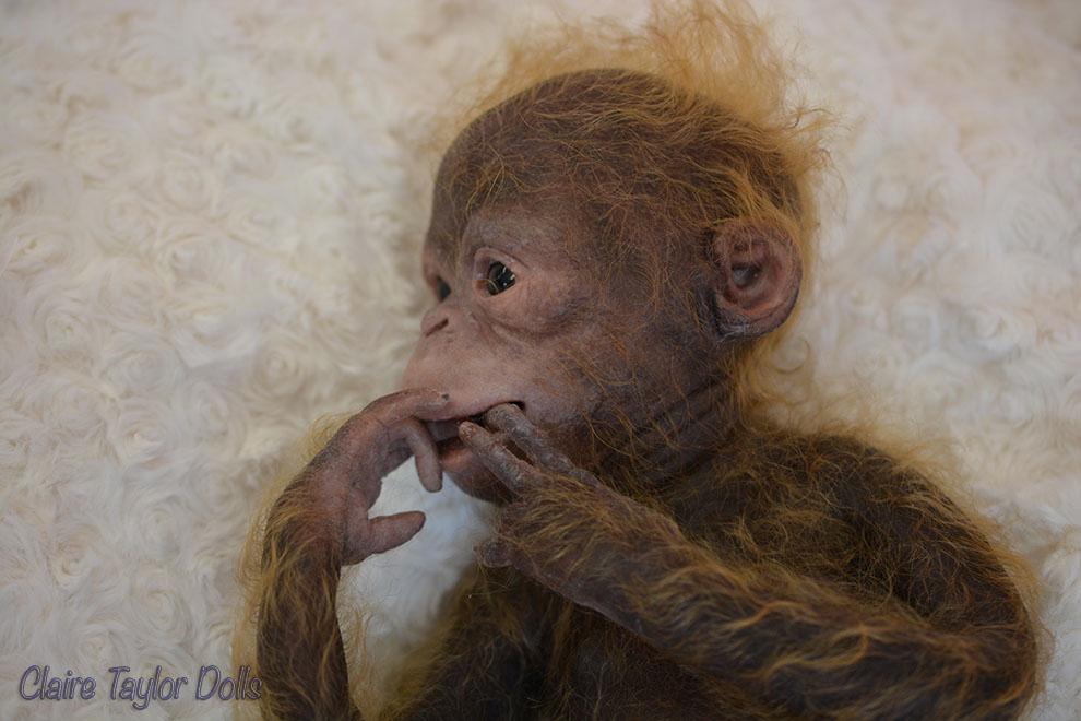 silicone monkeys