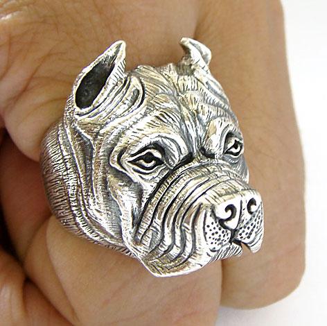 pitbull ring