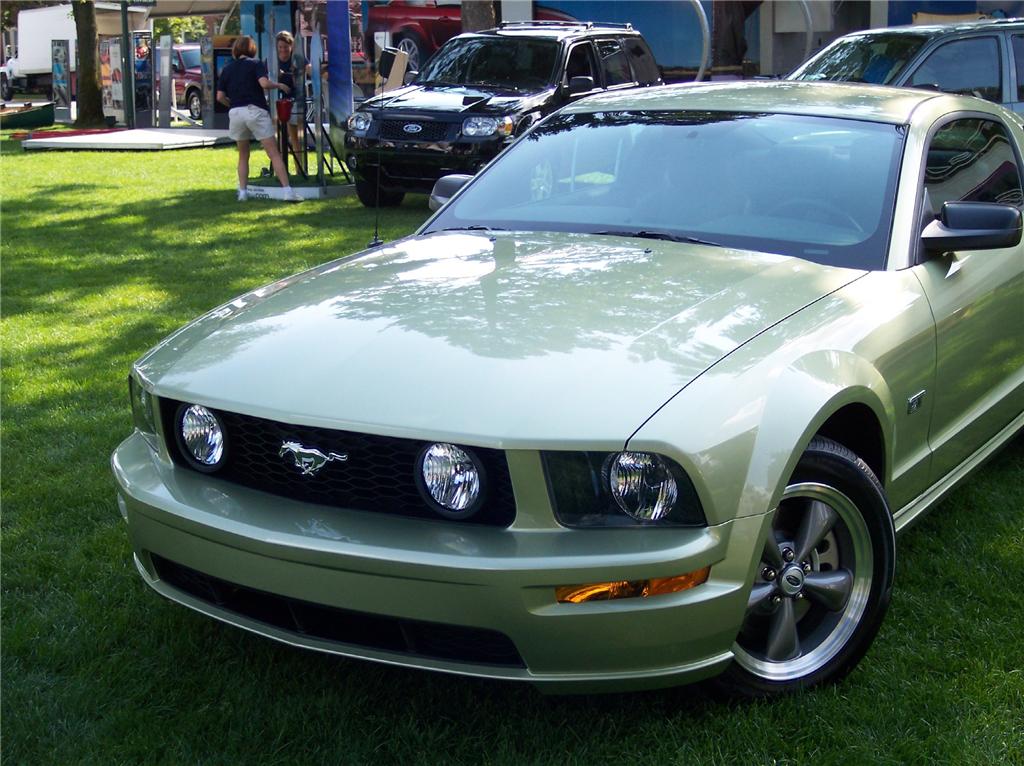 2006 Ford mustang touch up paint