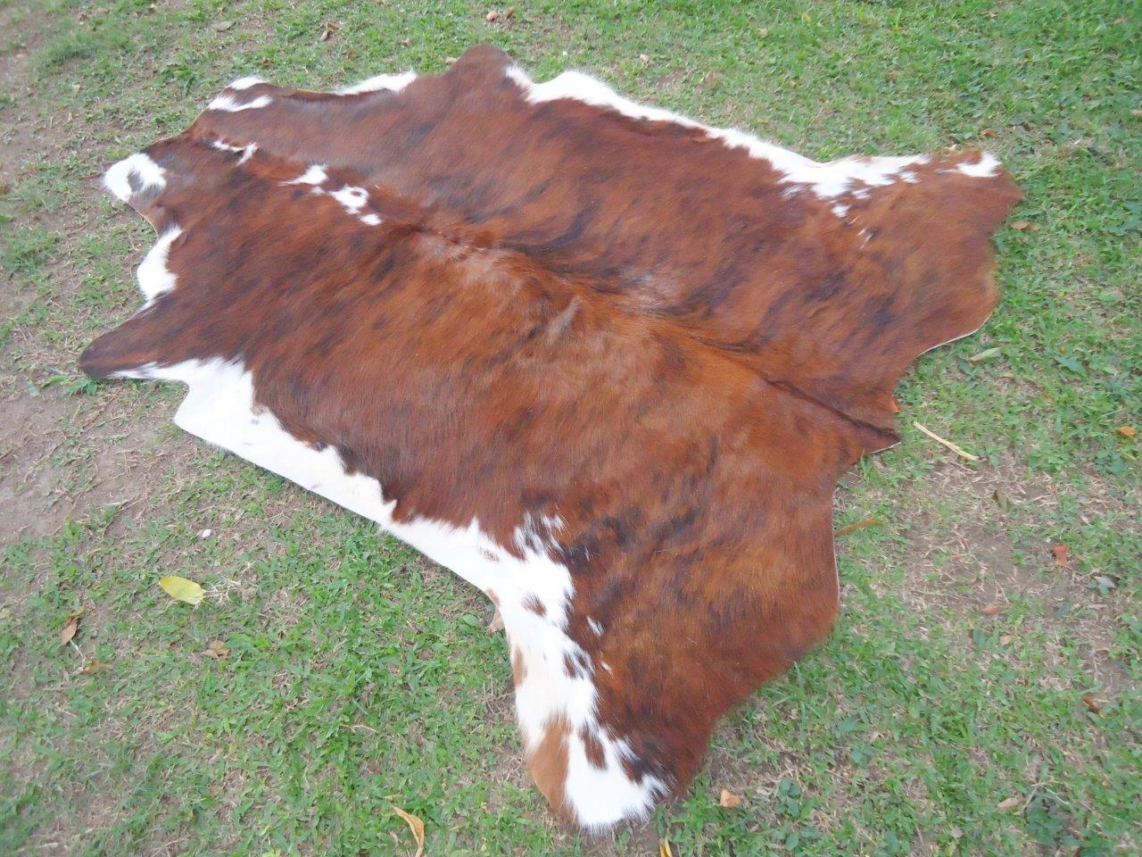 NEW Cowhide RUG Cowskin COW Hides Longhorn Skin S2029 eBay