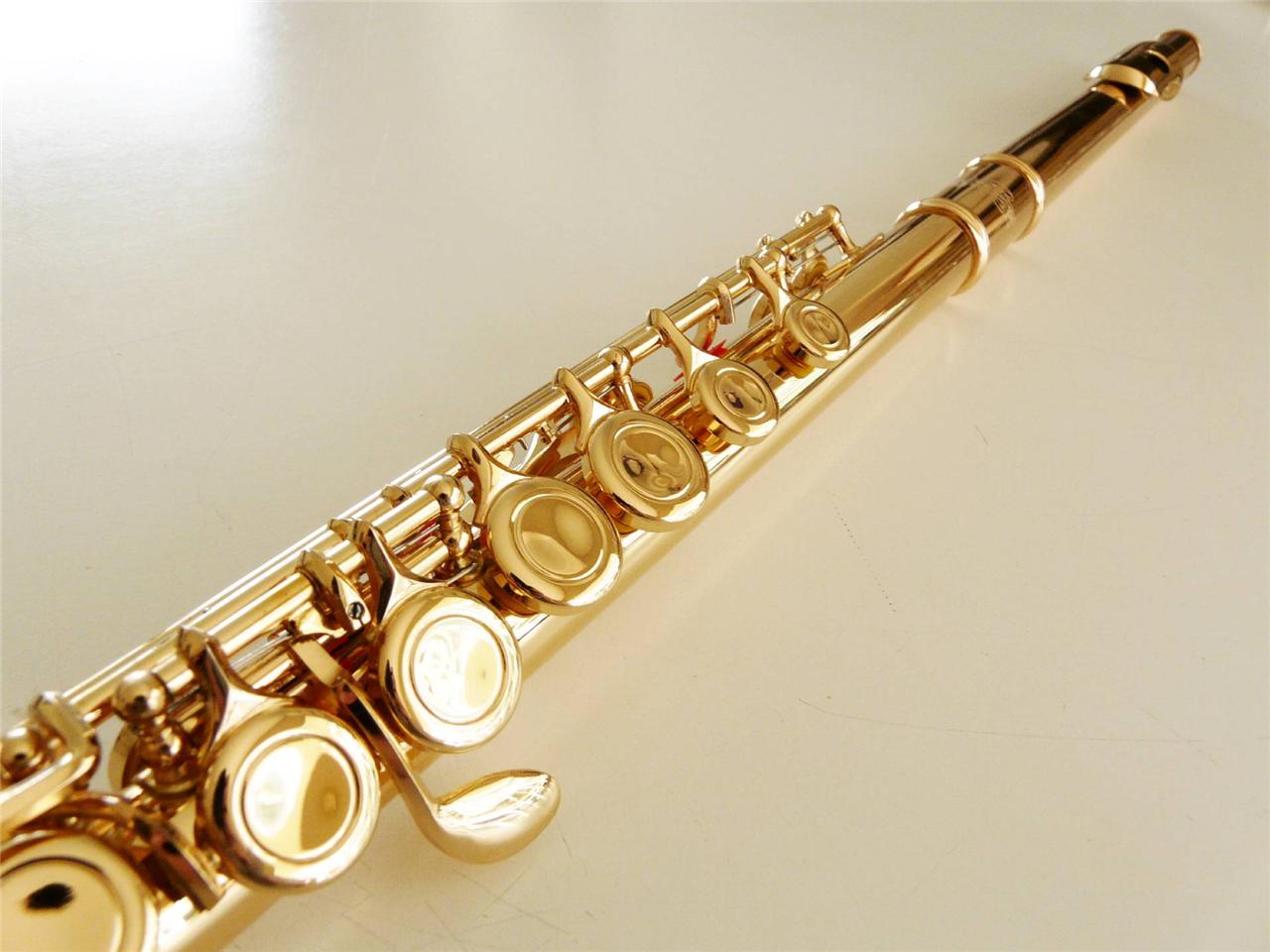 NEW C CONCERT FLUTE for student by RS music, FREE 1 STAND and SAVER eBay