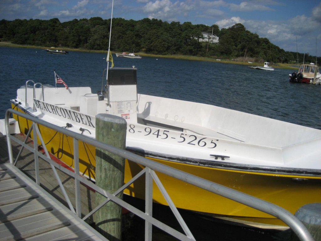 Cape Cod Grey Seal watching tours in Chatham, MA aboard the