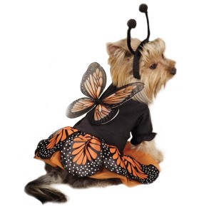 Dog MONARCH BUTTERFLY Halloween Costume Pet Puppy Clothes Clothing XS S ...