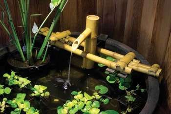 malayam sexy fucking girl asian fountain supplies