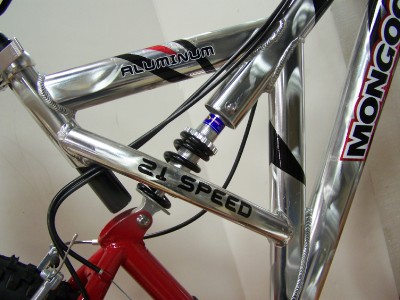mongoose domain 21 speed aluminum