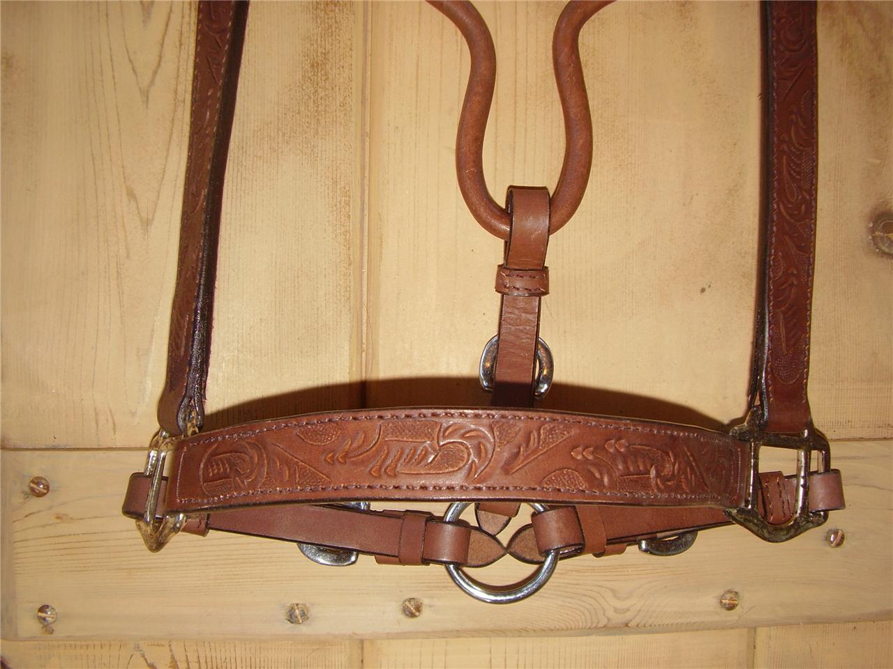 Carved tooled Leather Halter Show Horse Tack Silver Royal eBay