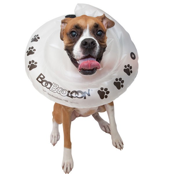 BooBooLoon Inflatable Collar Dog Cat Pet Protective post surgery*ALL SIZES eBay