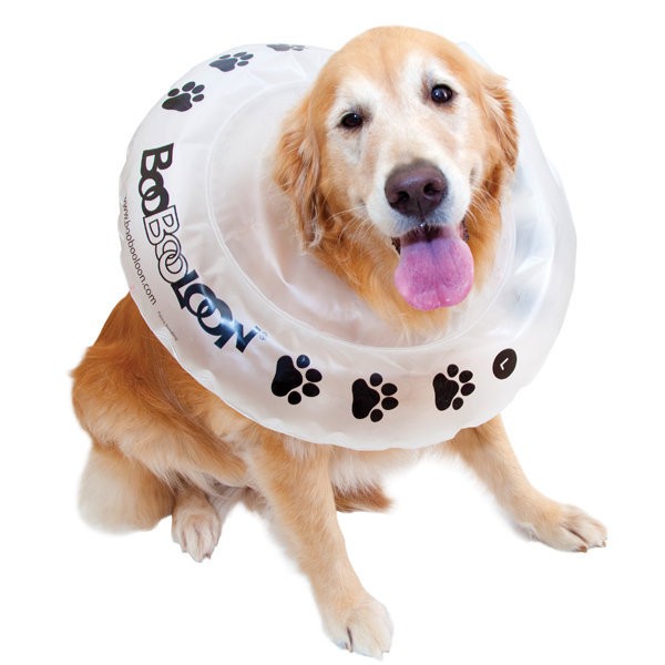 BooBooLoon Inflatable Collar Dog Cat Pet Protective post surgery