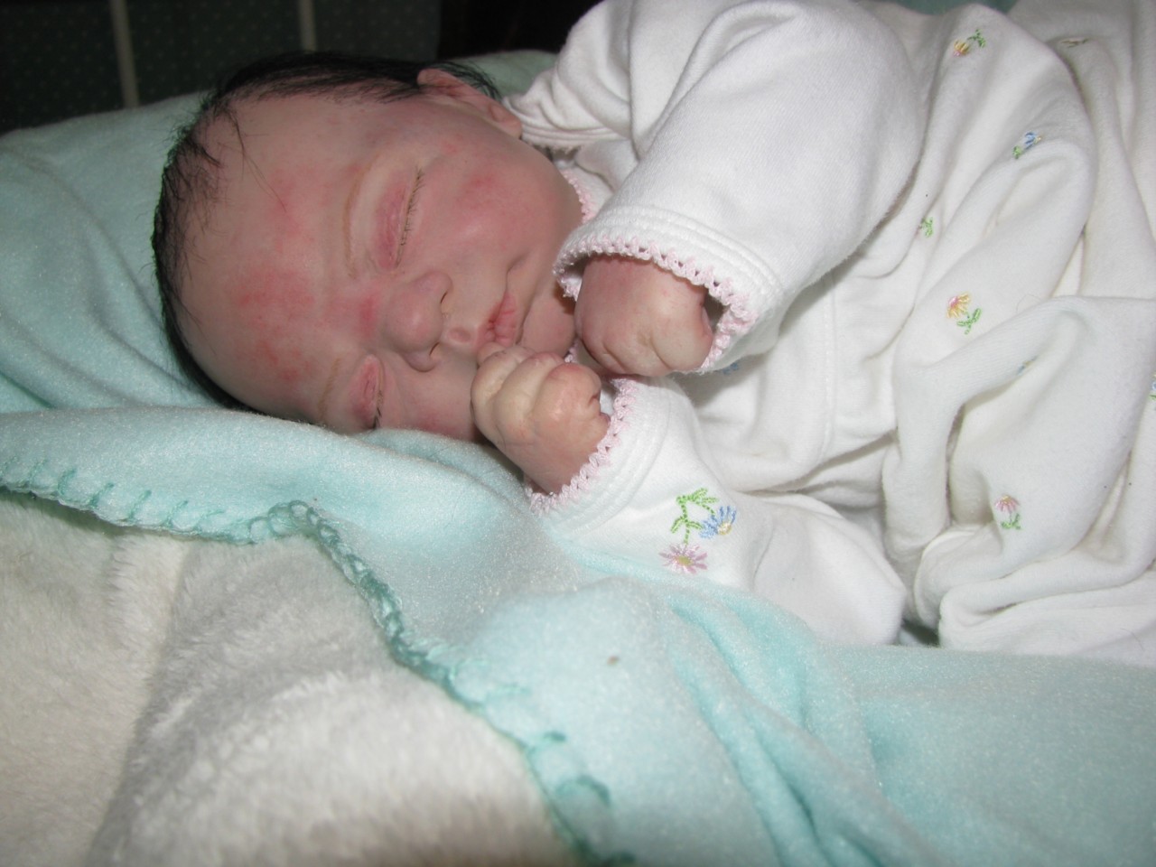 eBay Image Hosting at www.auctiva.com