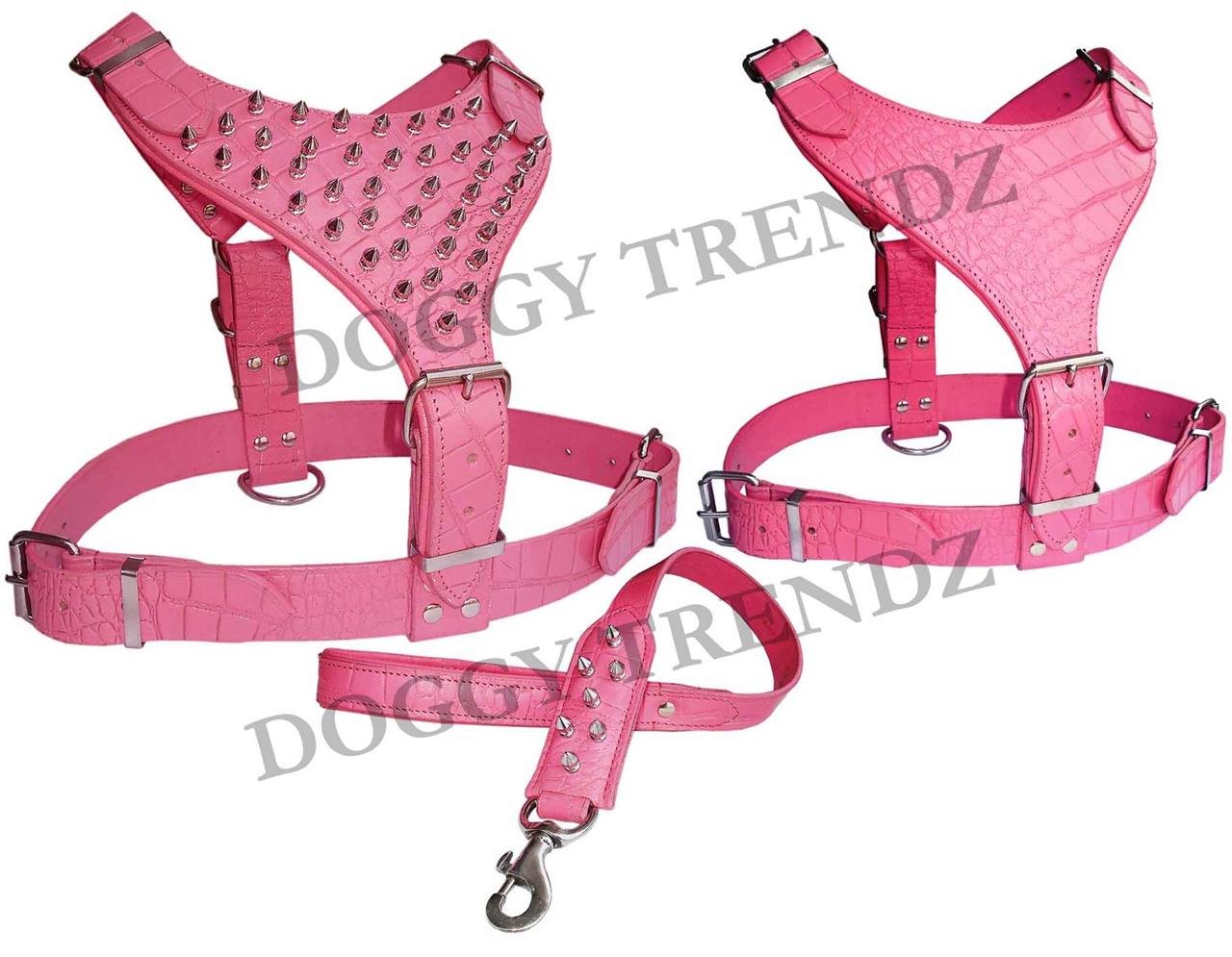 LARGE OR EXTRA LARGE LEATHER DOG HARNESS AND LEAD SET ROTTWEILER