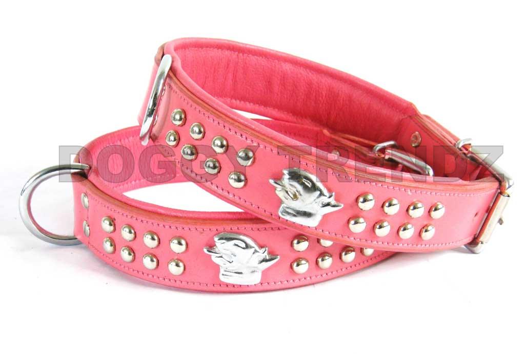 STAFFORDSHIRE BULL TERRIER STAFFY STAFF LEATHER DOG COLLAR AND LEAD SET PADDED eBay