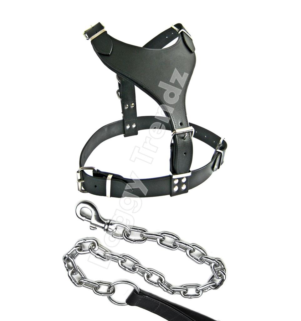 chain harness large leather harness and chrome chain lead bordeaux mastiff big dogs ebay chain harness large leather harness and chrome chain lead bordeaux mastiff big dogs ebay