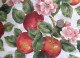 apple blossom print on white