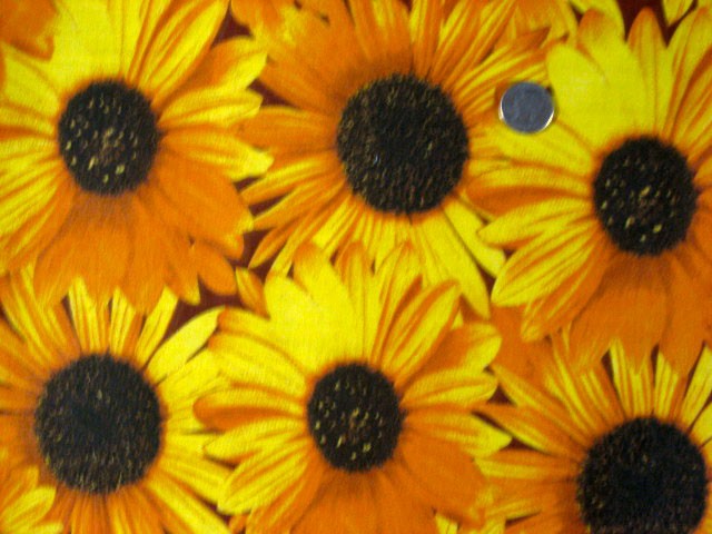 large yellow sunflowers, daisy print