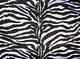 black and white zebra stripe print