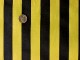 black and yellow bumble bee stripe print