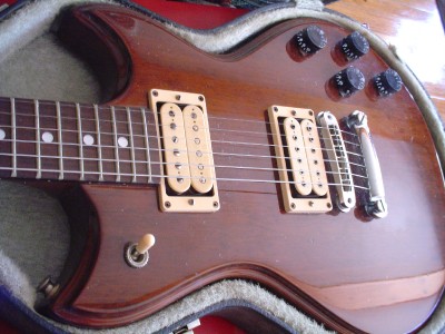 Westbury Standard Guitar