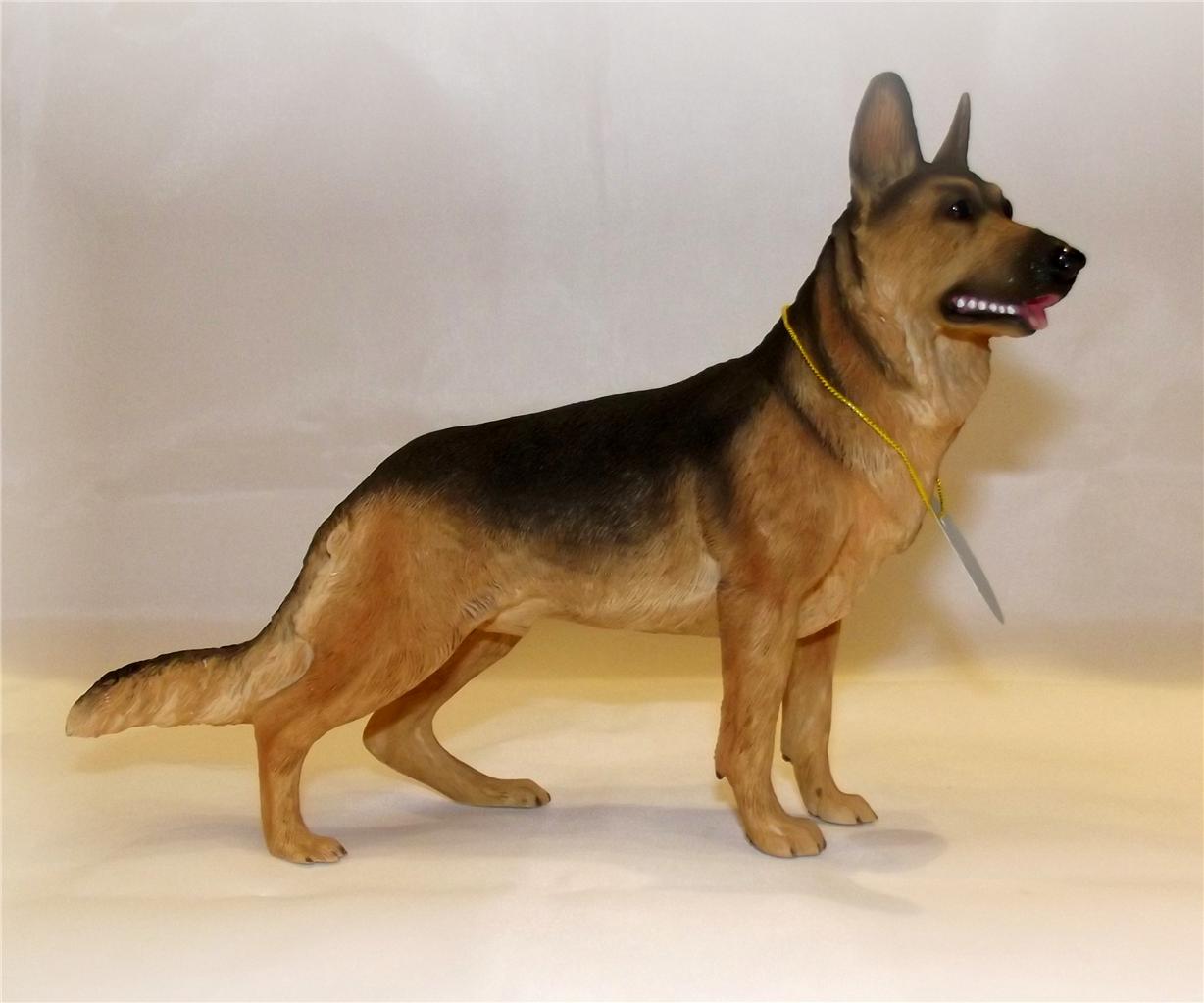 dog studies leonardo collection