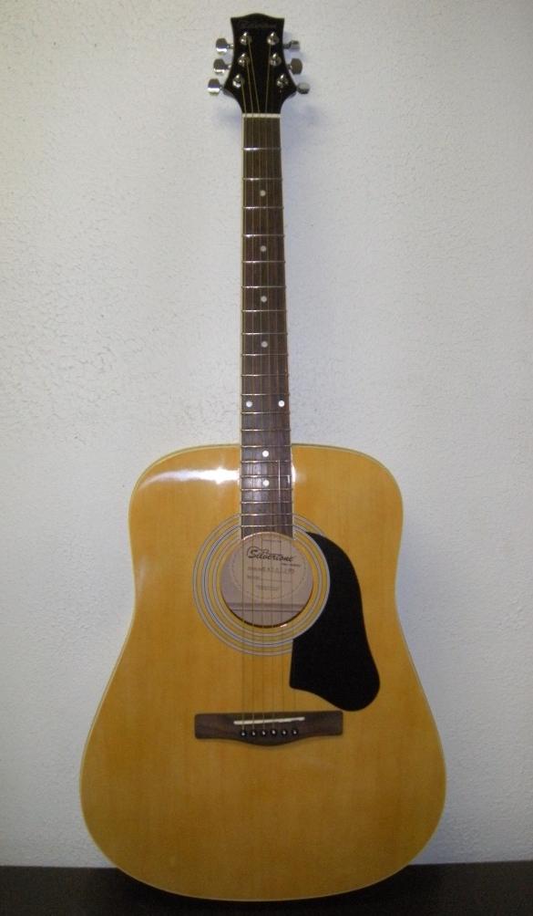 NEW! Silvertone Pro Series Acoustic Guitar CA105285 eBay