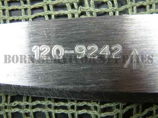 503551050_o.jpg