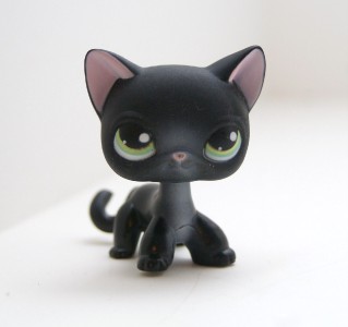 lps shorthair 336