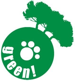 green product wireless dog fence